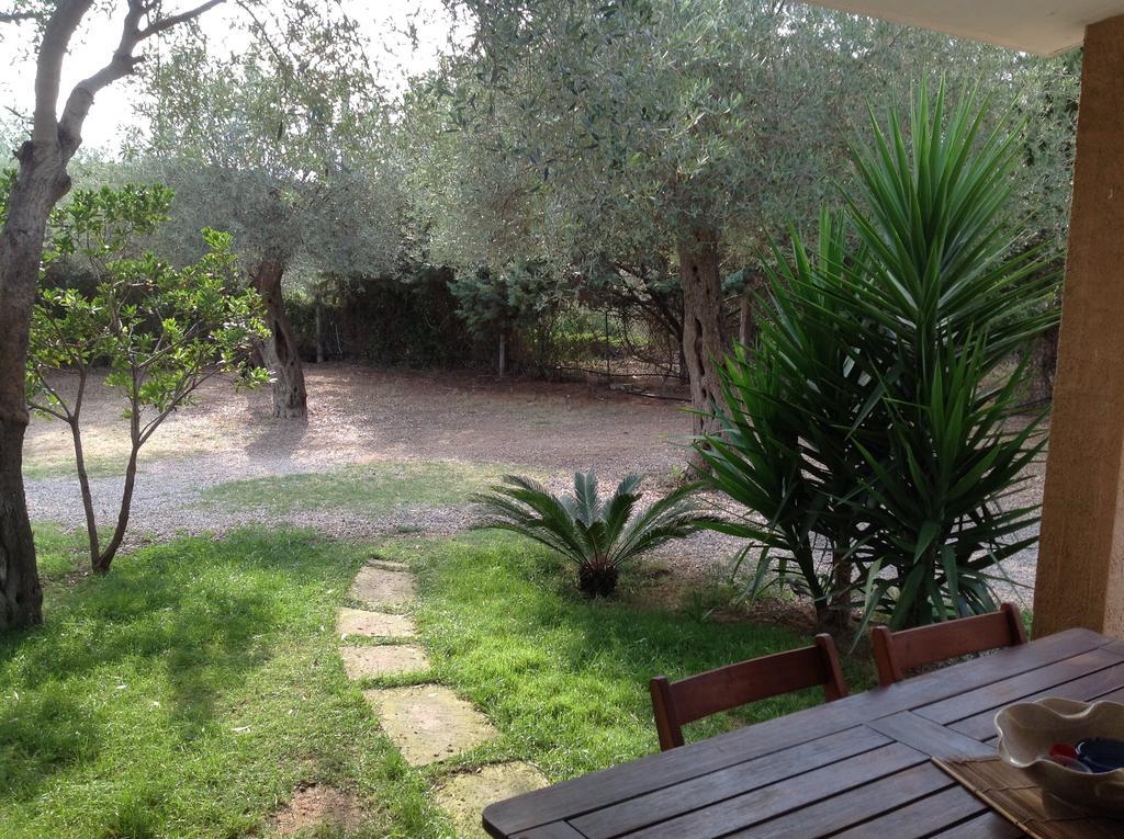 Apartamento Gli Ulivi Alguer Habitación foto